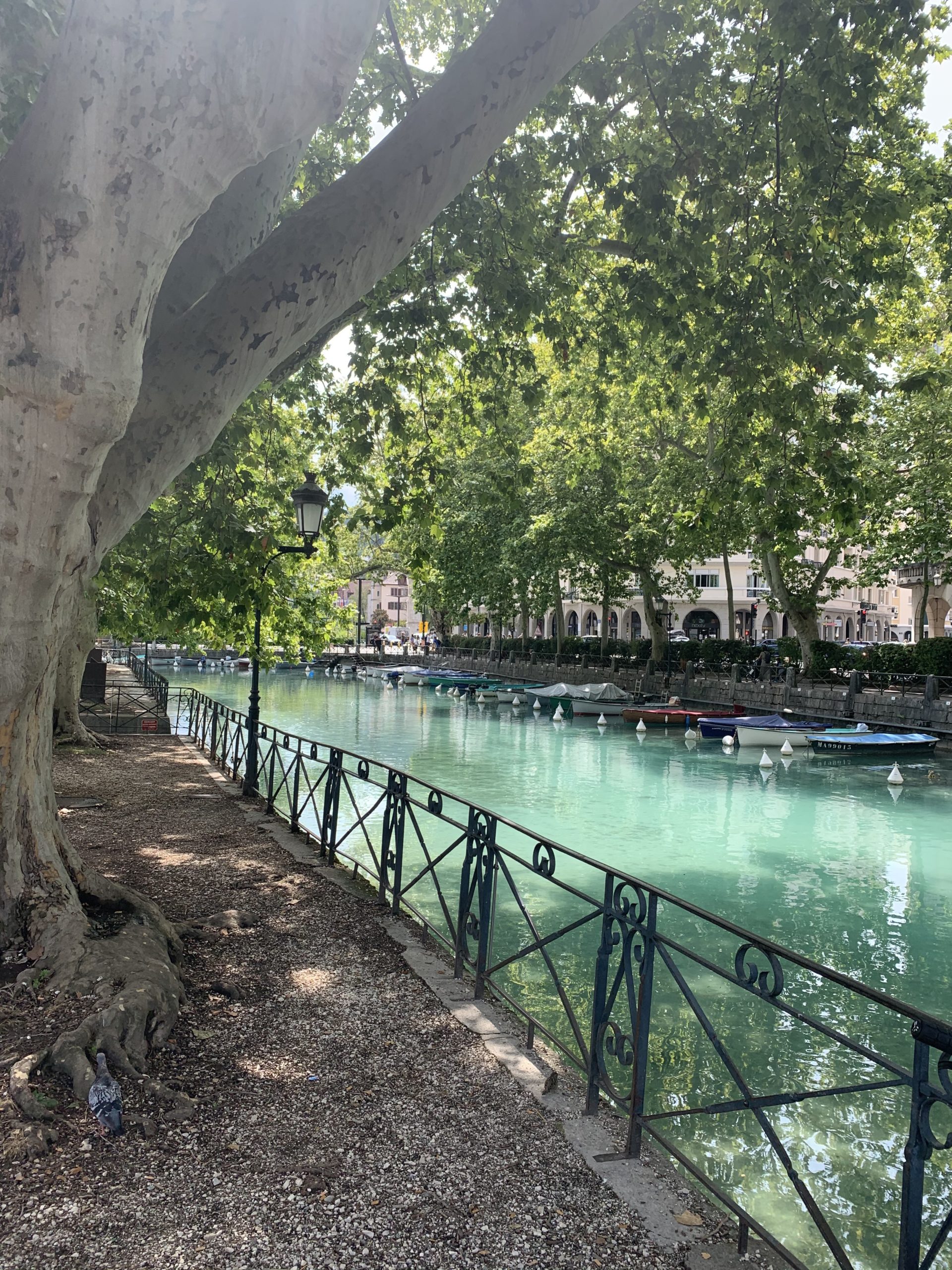 Jalâl udDîn Rûmî et l'Audelà